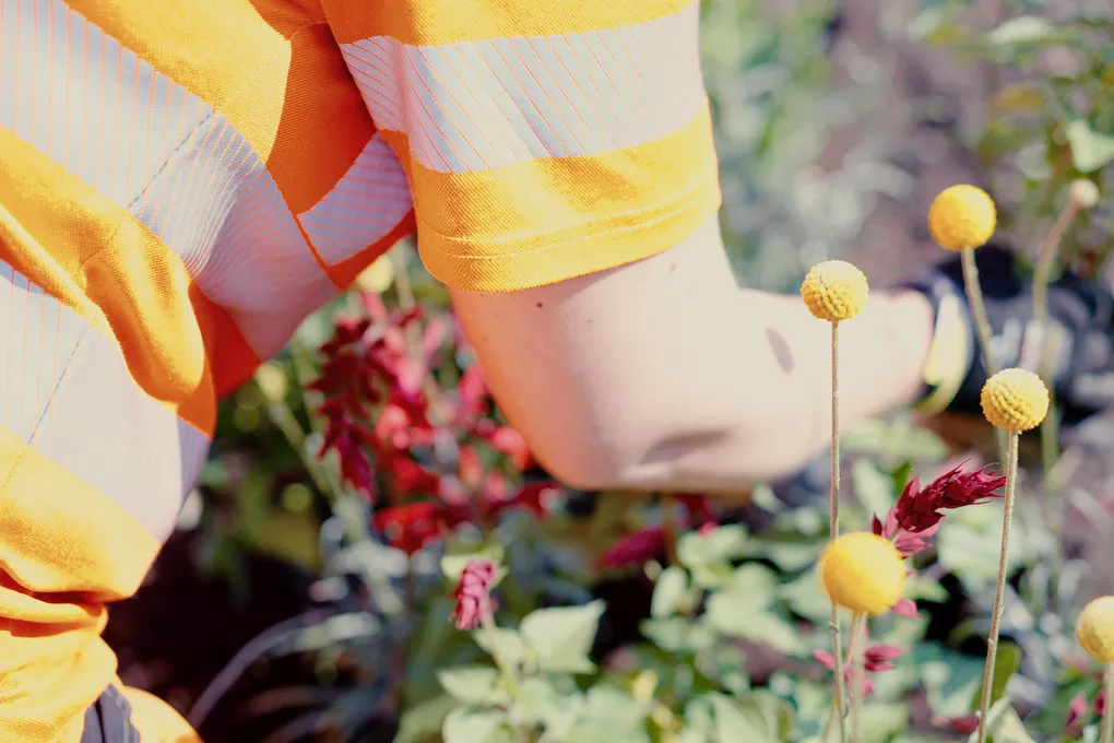 En närbild av en person som planterar blommor