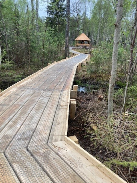 En gångväg av trä mitt i en skog